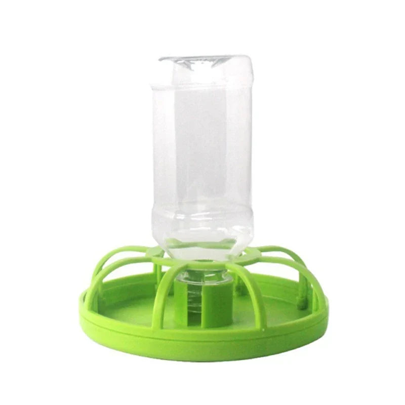 Water Bowl for Bearded-Dragons Lizards Geckos for Terrarium