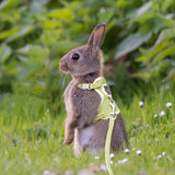 Cute Rabbit Harness Leash Set Bunny Pet Accessories