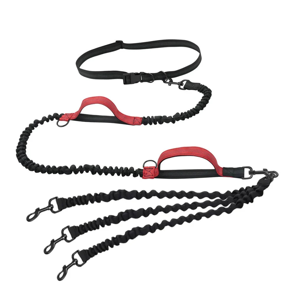 Dog Leash Hands-free Leash Suitable for Pets Running