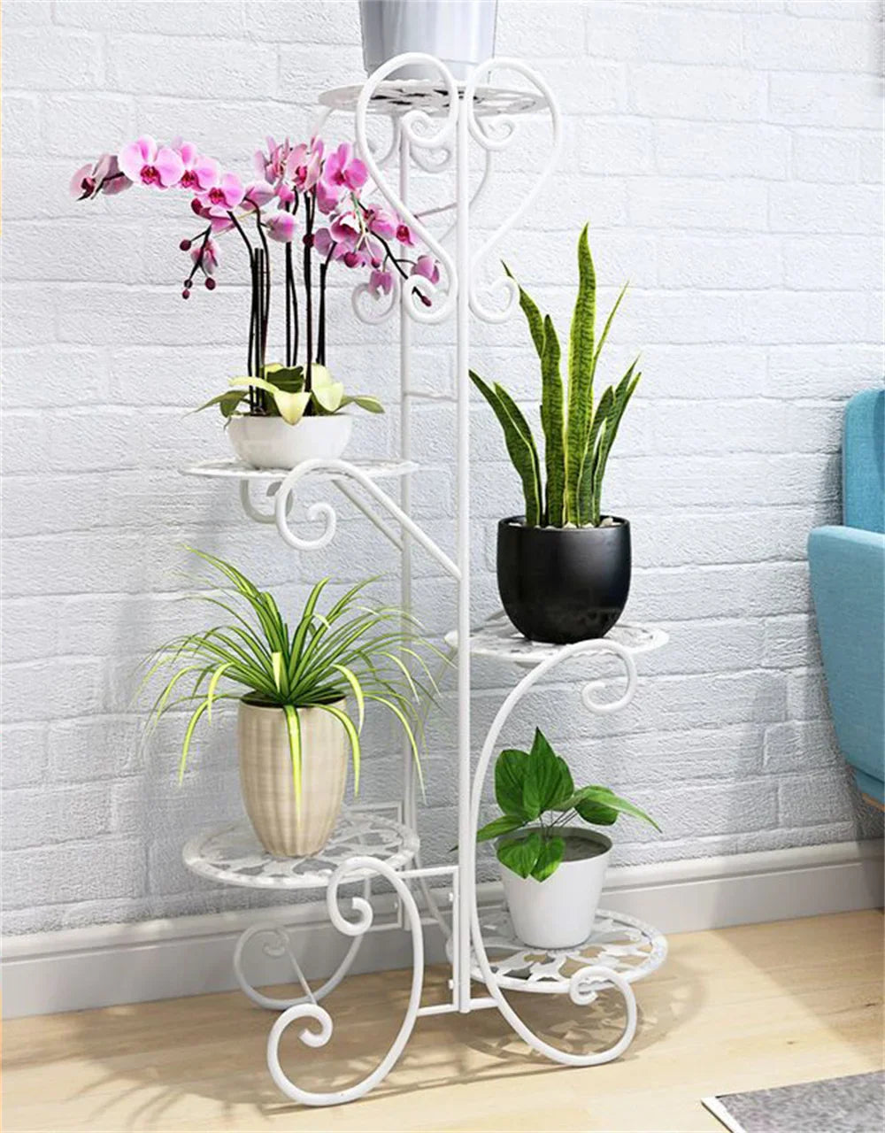 5 Potted Rounded Flower Metal Shelves Plant Pot