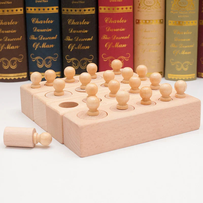 Montessori Knobbed Cylinder Socket Development Sensory Toys Hand-eye