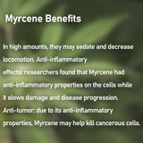 10-30ML food-grade Natural Beta Myrcene terpene oil with