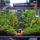 4 Pcs Fish Tank Coral Support Frag Rack