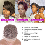 Pixie Cut Wig Transparent Lace Human Hair Wigs