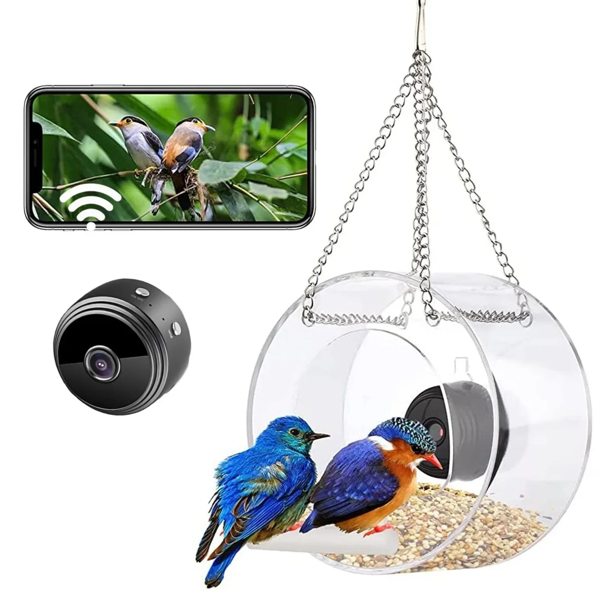 Bird Feeder with Camera, Acrylic Hanging Smart Bird