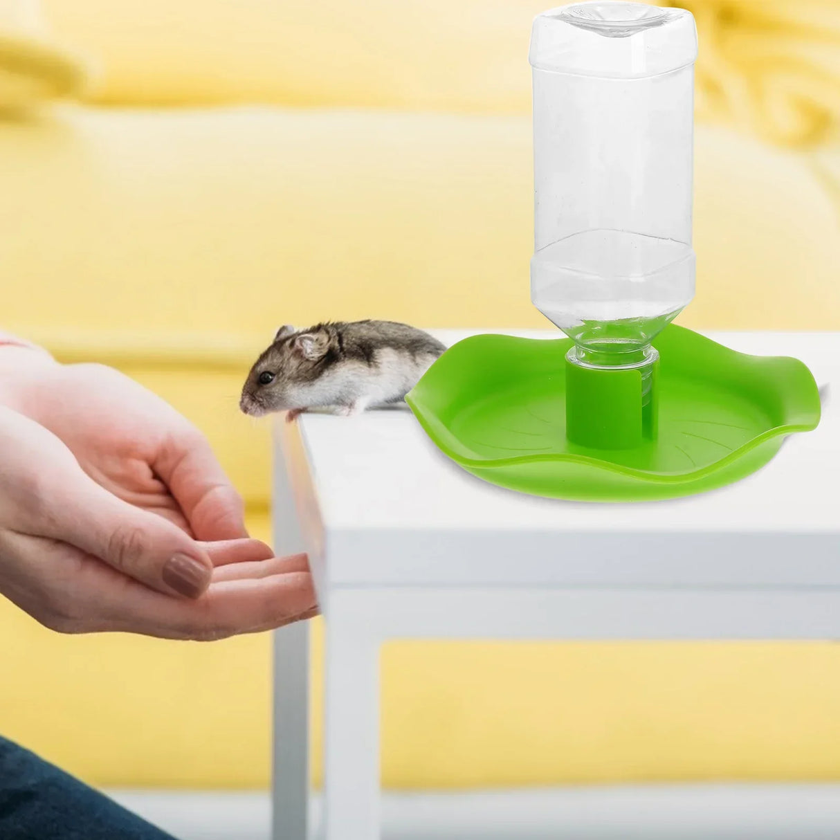 Automatic Reptile Feeders Waterer Turtle Food Water Bowl