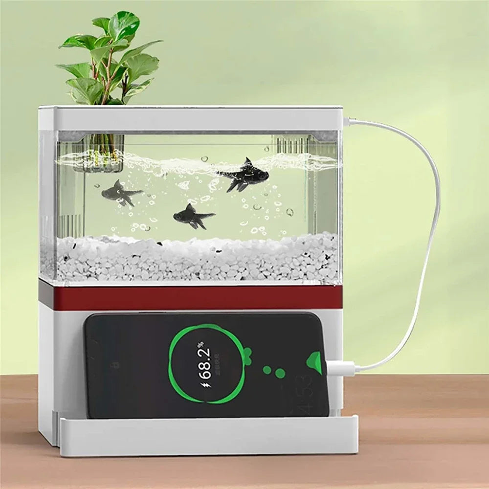 Mini Desktop Fish Tank With Filter System LED