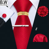 Barry.Wang Silk Mens Tie Hanky Cufflinks Clip Brooch
