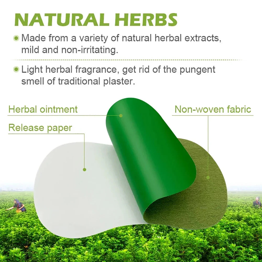 60/12PCS Detox Foot Patches Pads Natural Herbal Wormwood