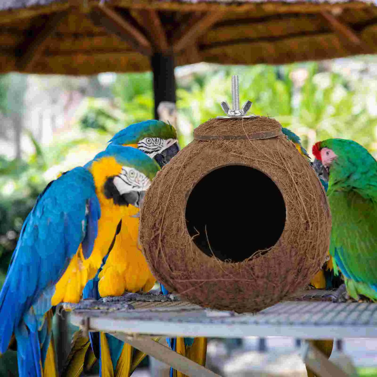 Coconut Shell Bird Nest Coco Birds House Parrots