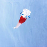 free shipping large kite windsocks kite tails ripstop