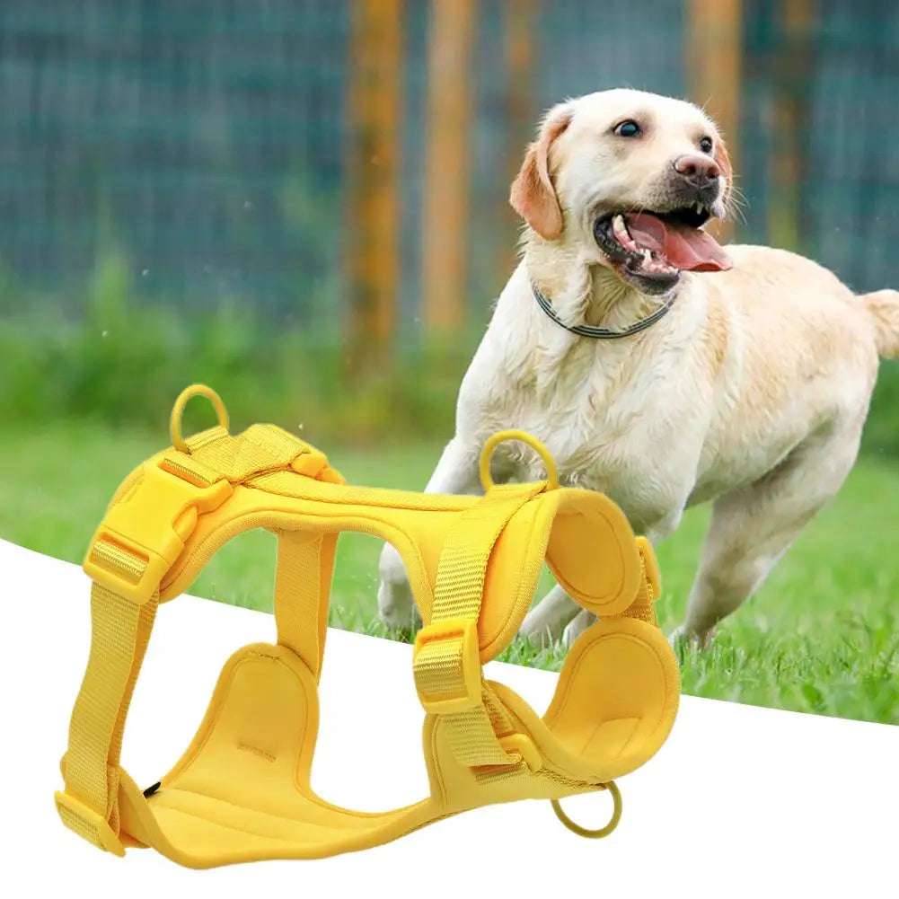 Chest Harness Leash Micro Elastic Easy to Clean