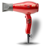 Professional Hair Dryer 1600W Personal Care Home Appliance