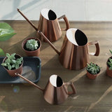 Stainless Steel Long Spout Watering Cans Golden Bronze