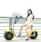 cheap electric scooter 1500w citycoco adult electric motorcycle