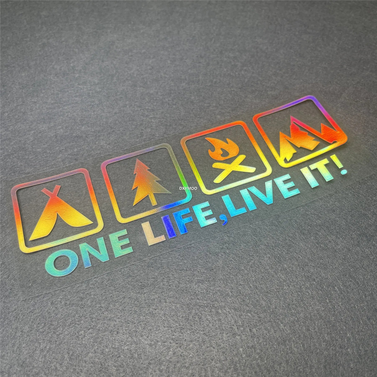 One Life Live it Camping Outdoor Enthusiast Car