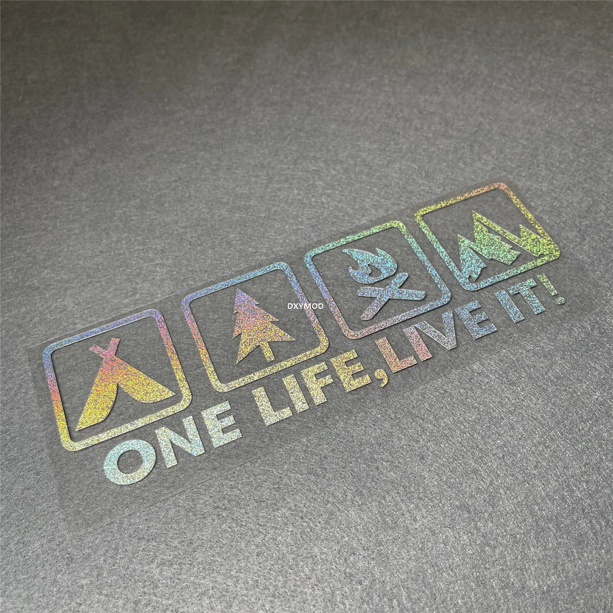 One Life Live it Camping Outdoor Enthusiast Car
