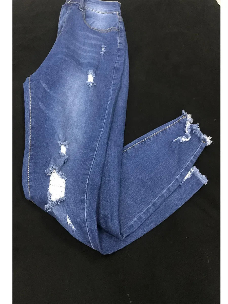 LW Plus Size Highwaisted Ripped Jeans Zipper Fly