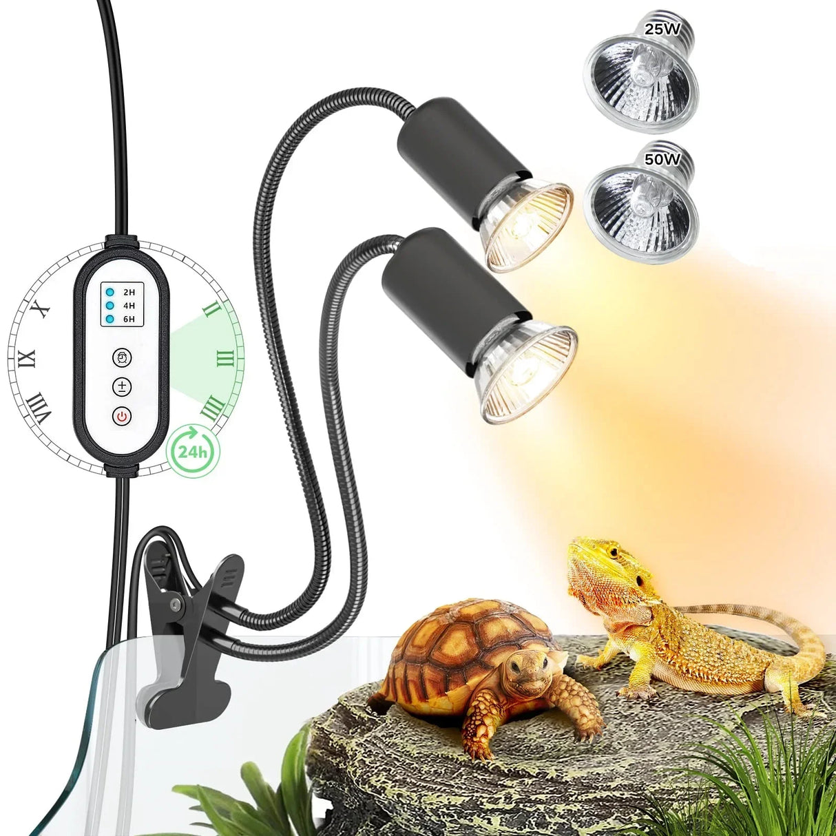 iGrowsla Dual-Head Reptile Heat Lamp Light with Timer