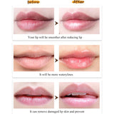 24pcs/Box Wholesale Lip Balm Fruit Flavor Lip Gloss