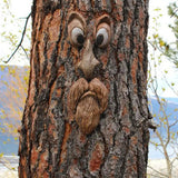 Bark Ghost Face Facial Features Old Man Tree
