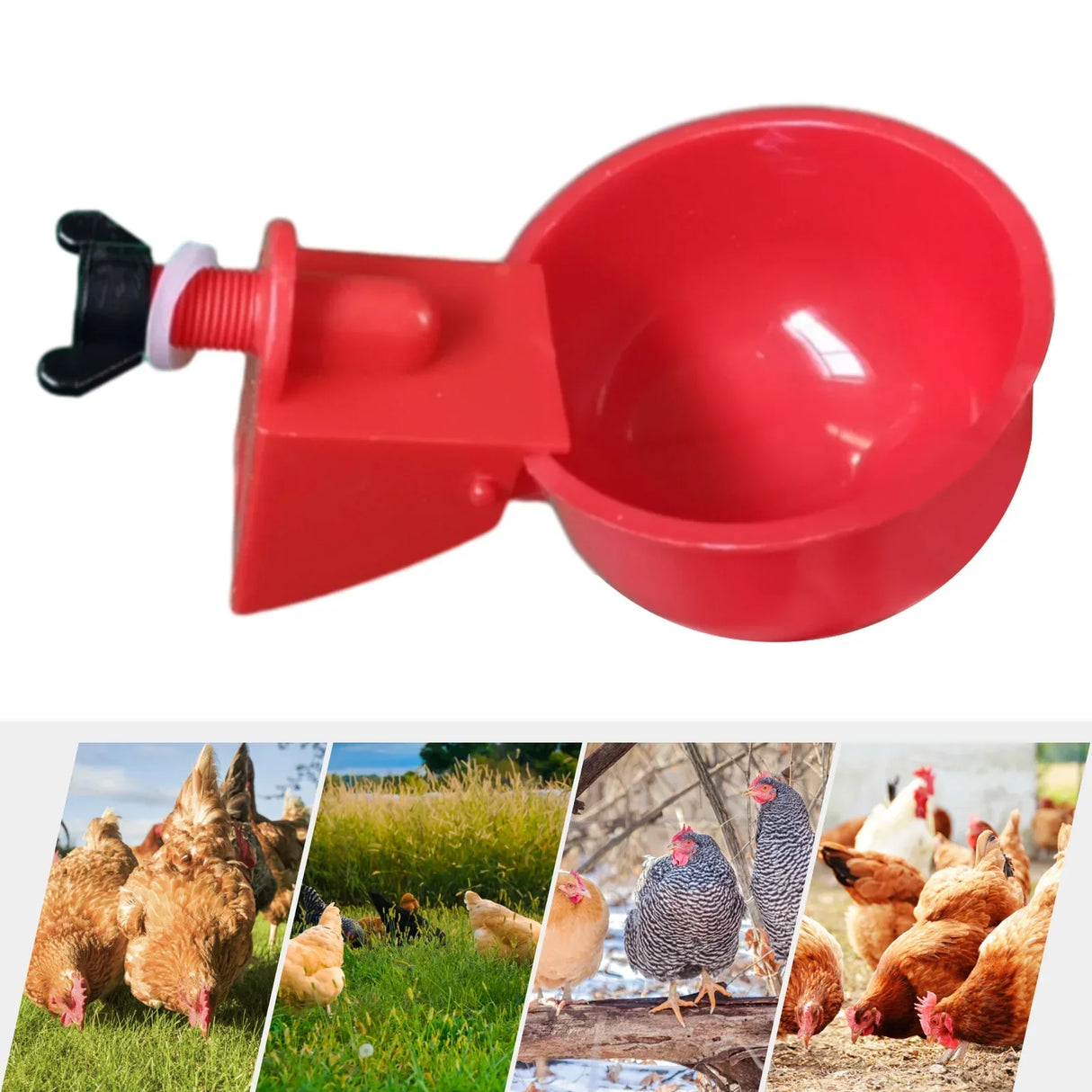 6Pcs Poultry Drinking Bowl Feeder Automatic Chicken Drinker