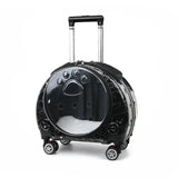 Small Transparent Pet Trolley Case Capsule Portable Dog