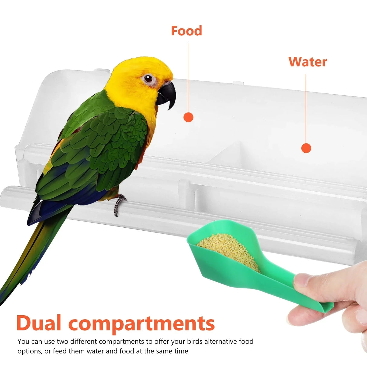 Cage Food Box Bird Spoon Water Dispenser Birds