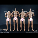 COOMODEL 1/6 Standard Muscle Male Soldier Body MB001