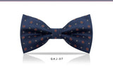 VEEKTIE Brand Pretied Bowties For Men Polka Dots