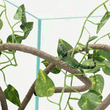 Artificial Flexible Reptile Vines Rattan Chameleon Lizard Terrarium