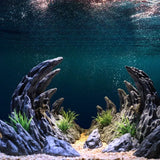 Canyon Scenery Fish Tank Simulation Seiryu Stone Landcape