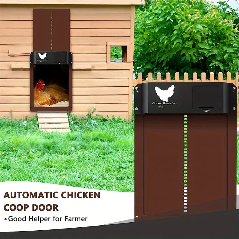 Automatic Chicken House Door with 12 Pockets Eggs