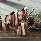 Stainless Steel Long Spout Watering Cans Golden Bronze