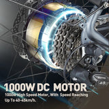 BURCHDA RX80 Adult Electric bike 1000w Motor 48V