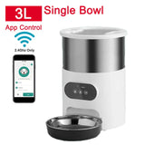 Cat Timing Feeder Smart APP Cat Feeder Stainless