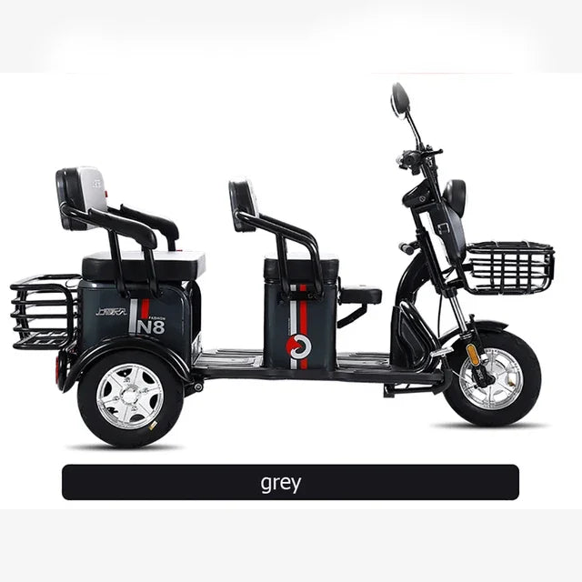 600W 48V Threewheeled Electric Motorcycle with Lithium Battery