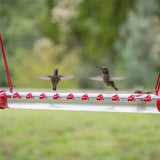 Hummingbird Feeder with Hole Birds Feeding Transparent Pipe