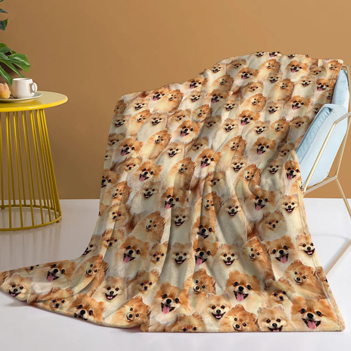 Pomeranian Throw Blanket Fuzzy Dog Blanket for Kids