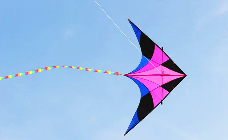 Free shipping delta kites flying toys children kites