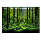 5 Size 3d Aquarium Background Poster PVC Adhesive