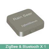 Rain Seer Tuya Zigbee Garden Home Irrigation Watering