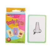 36Pcs Kids Cognition Card Shape Animal Color Teaching