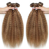Highlight Kinky Straight Bundles Brazilian P4/27 Ombre Brown