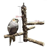 Pet Parrot Bird Standing Stick Wood Pole Bird