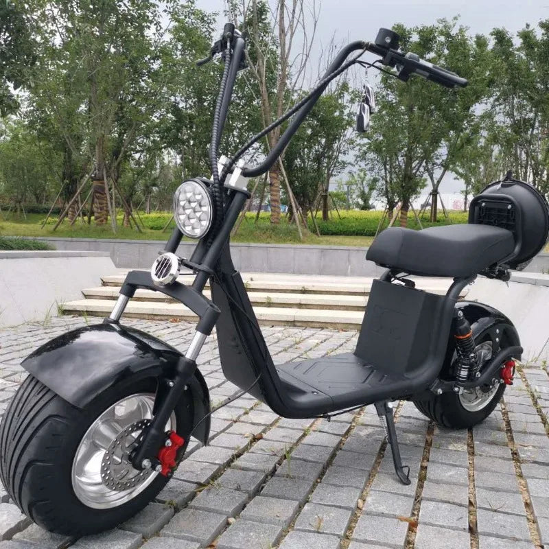 China Classic Popular Fat Tire 2 Wheel Electric