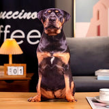 3D Simulation Dog Shiba Inu Bulldog Labrador Corgi