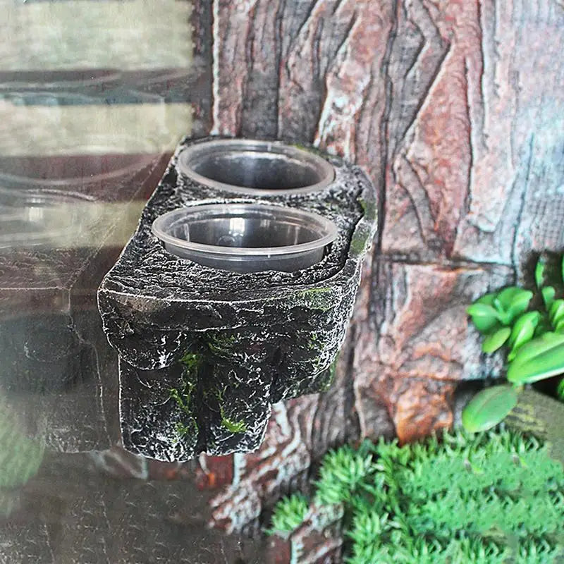 Reptile Food and Water Feeder Reptile Feeder Food