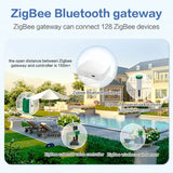 Tuya Smart Zigbee Automatic Irrigation Sets Rain /Snow