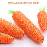 Carrot Shaped Paper Ropes Weave Pet Toy Chew